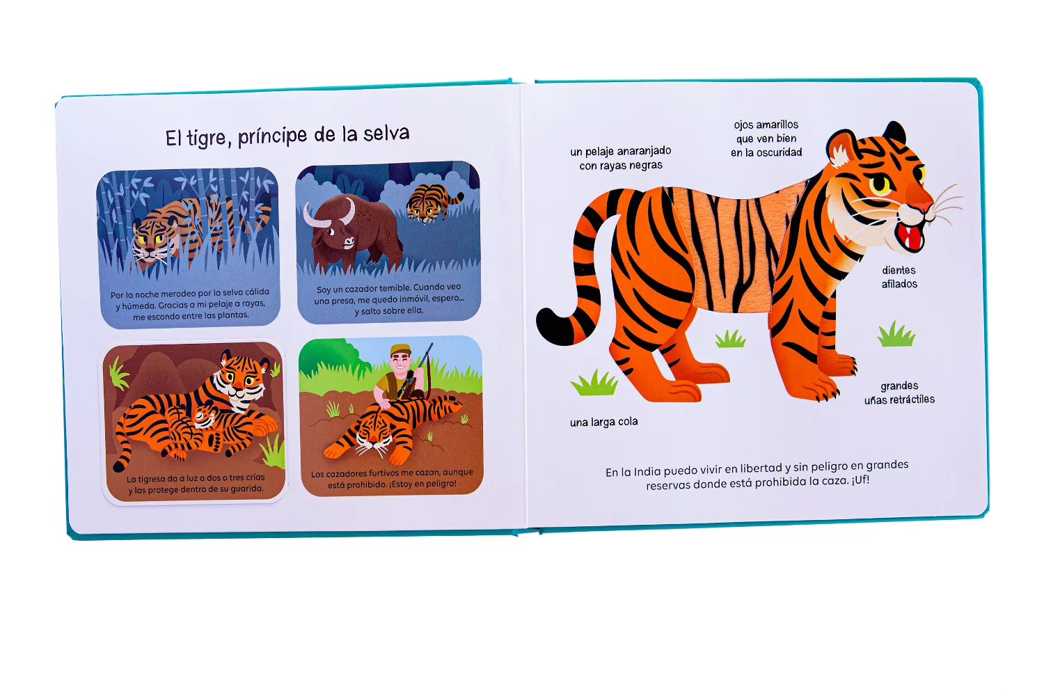 Animales que proteger
