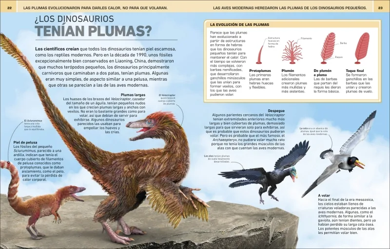 ¡Increíble pero cierto! Dinosaurios