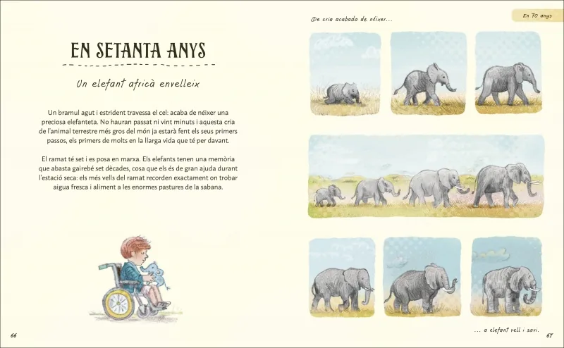 Paciència