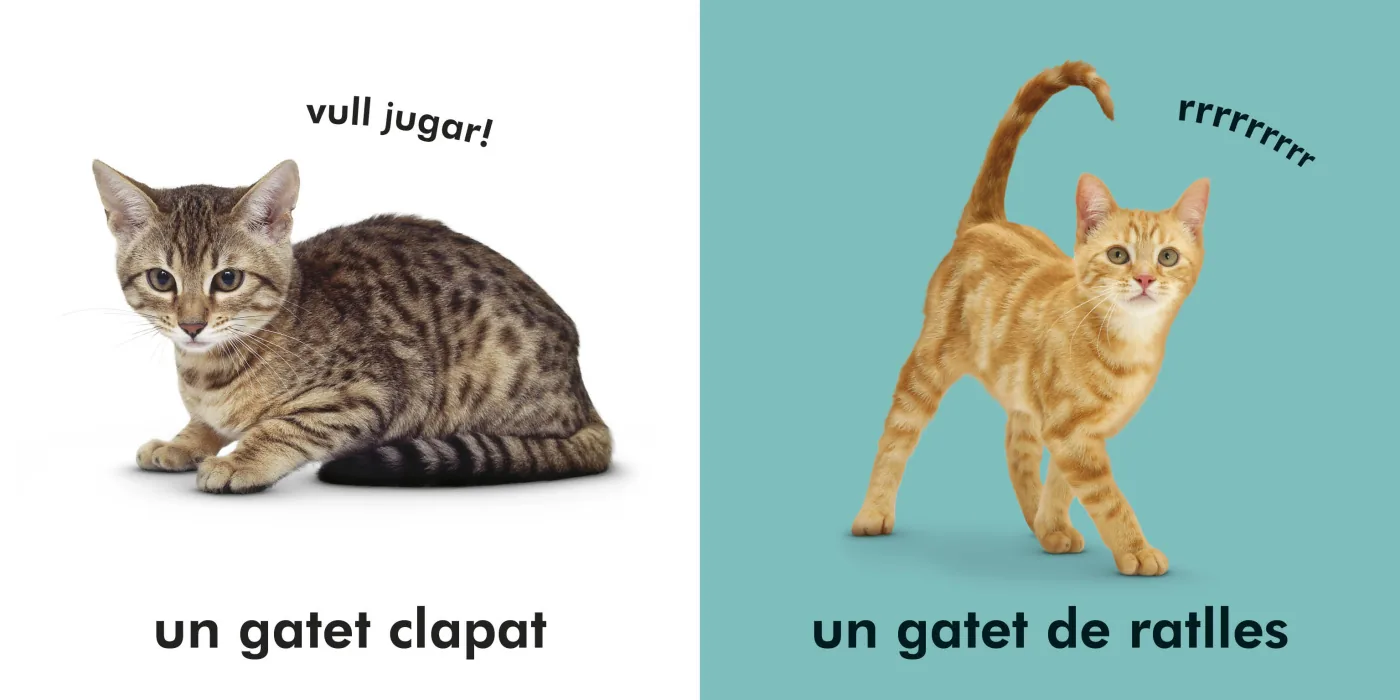 Gatets (Toca i aprèn)
