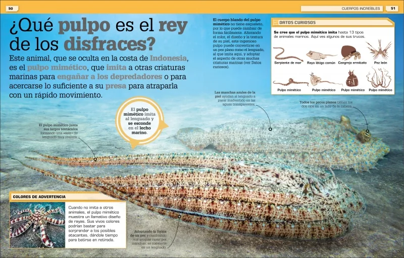 ¡Increíble pero cierto! Animales