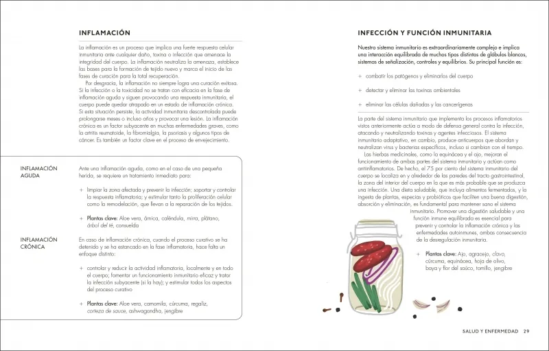 Plantas medicinales