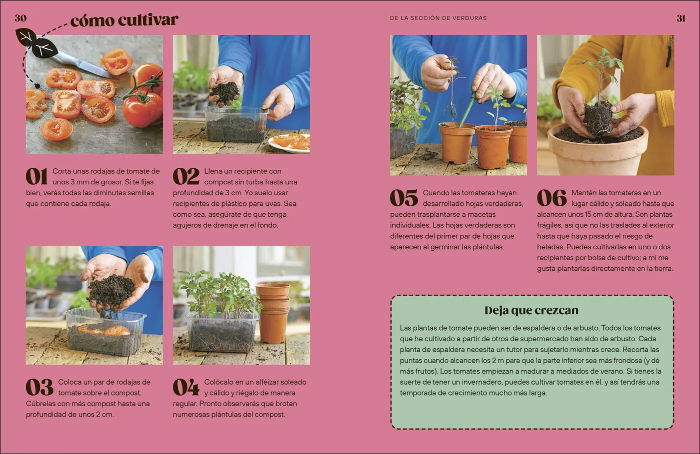 Cómo cultivar sin huerto