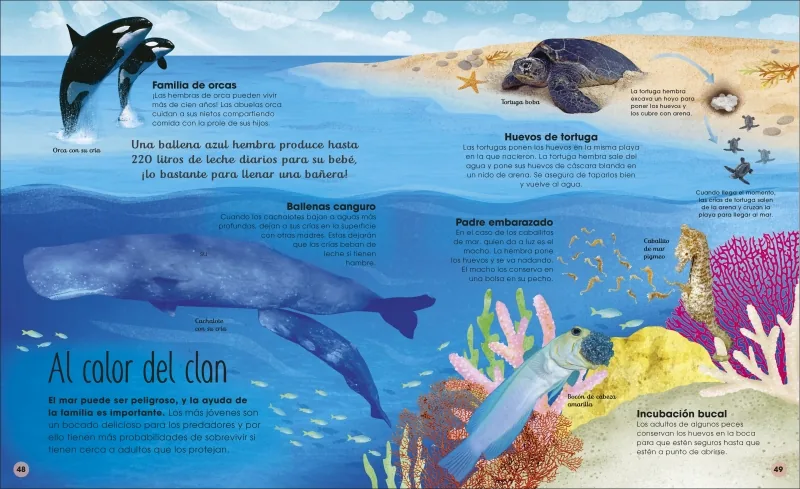 La vida secreta de los océanos