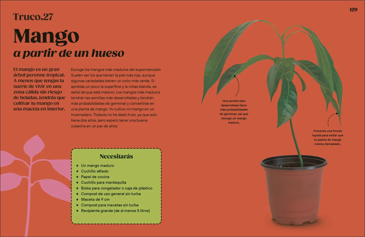 Cómo cultivar sin huerto