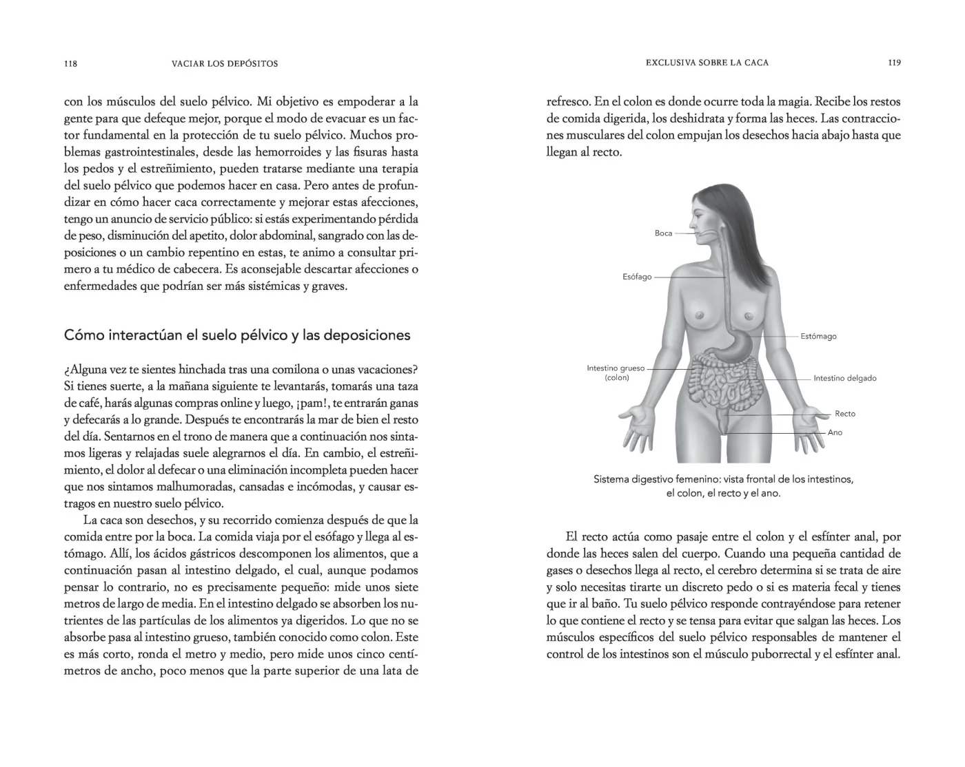 Suelo pélvico. Una guía práctica para cuidar tu salud en cualquier etapa de la vida