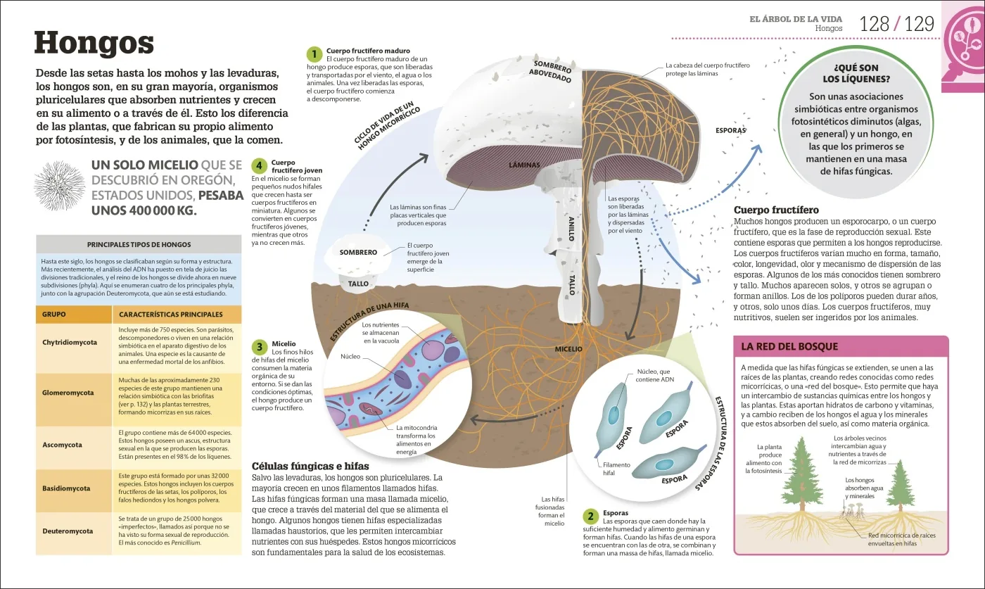 Cómo funciona la biología