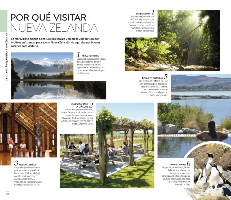Nueva Zelanda (Guías Visuales)