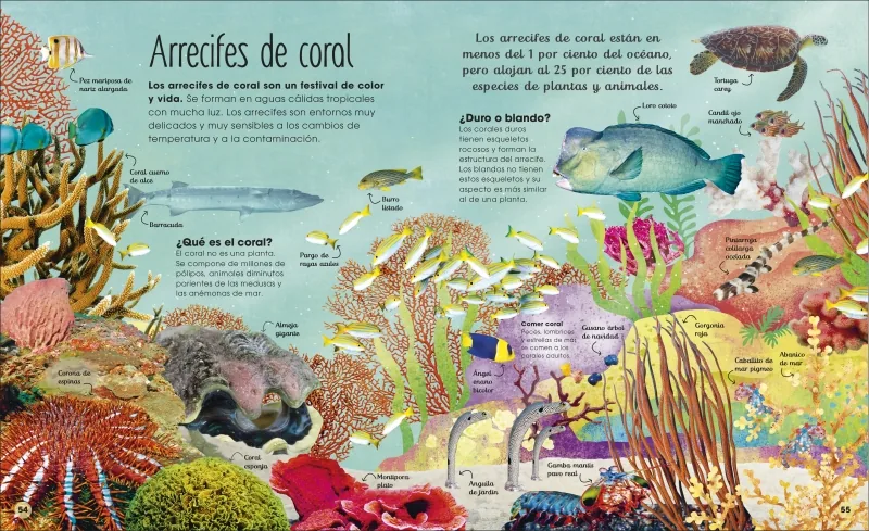 La vida secreta de los océanos