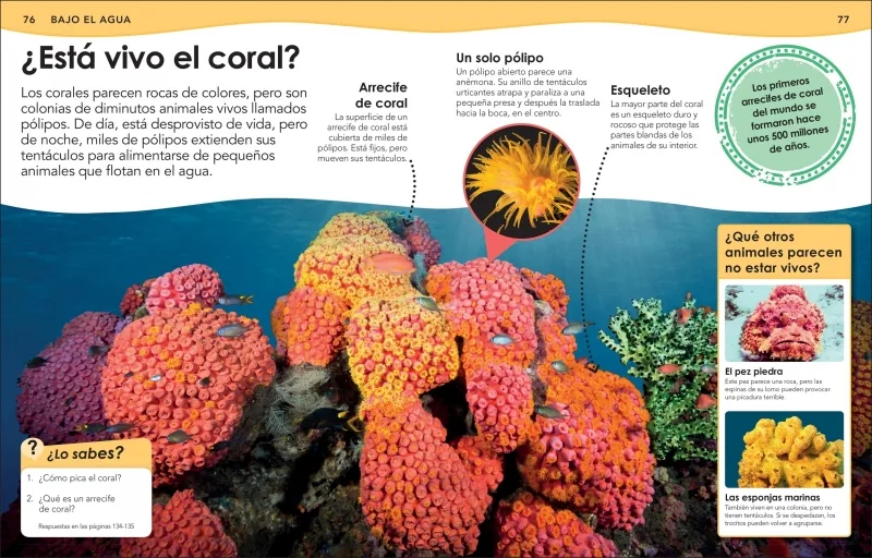 ¿Sabías qué? Animales