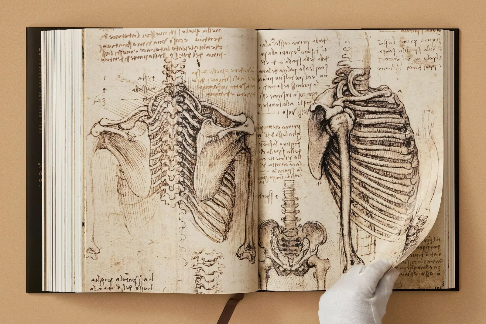 Léonard. Tout l'uvre peint et graphique
