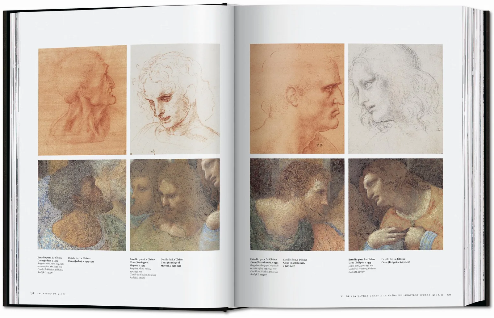 Leonardo