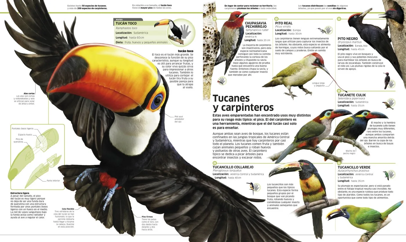 Animales (Mundo 3D)