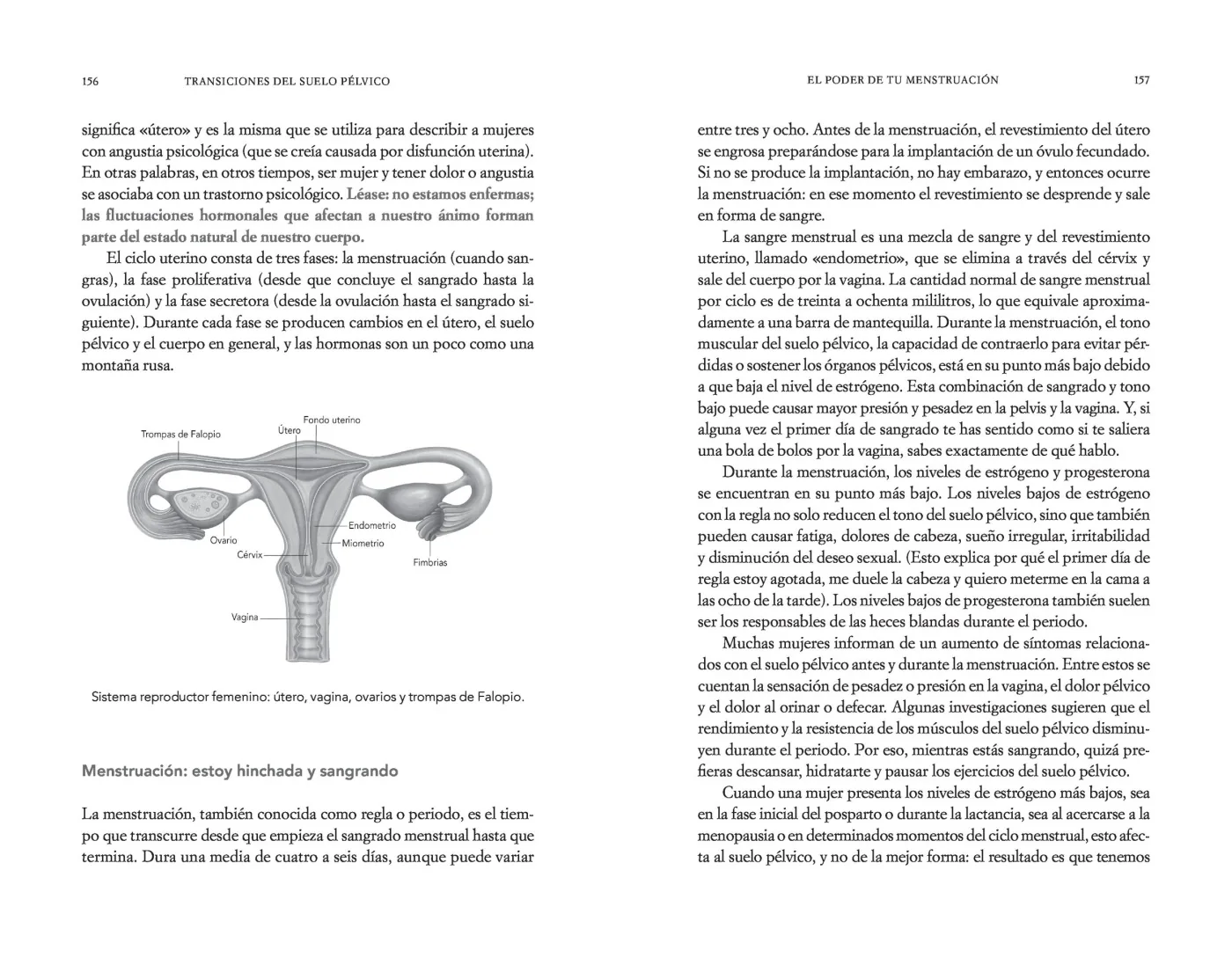 Suelo pélvico. Una guía práctica para cuidar tu salud en cualquier etapa de la vida