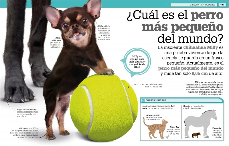 ¡Increíble pero cierto! Animales