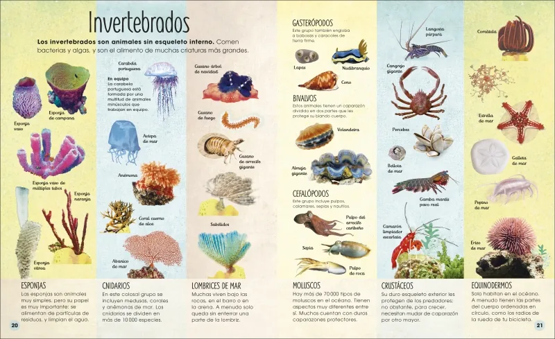 La vida secreta de los océanos