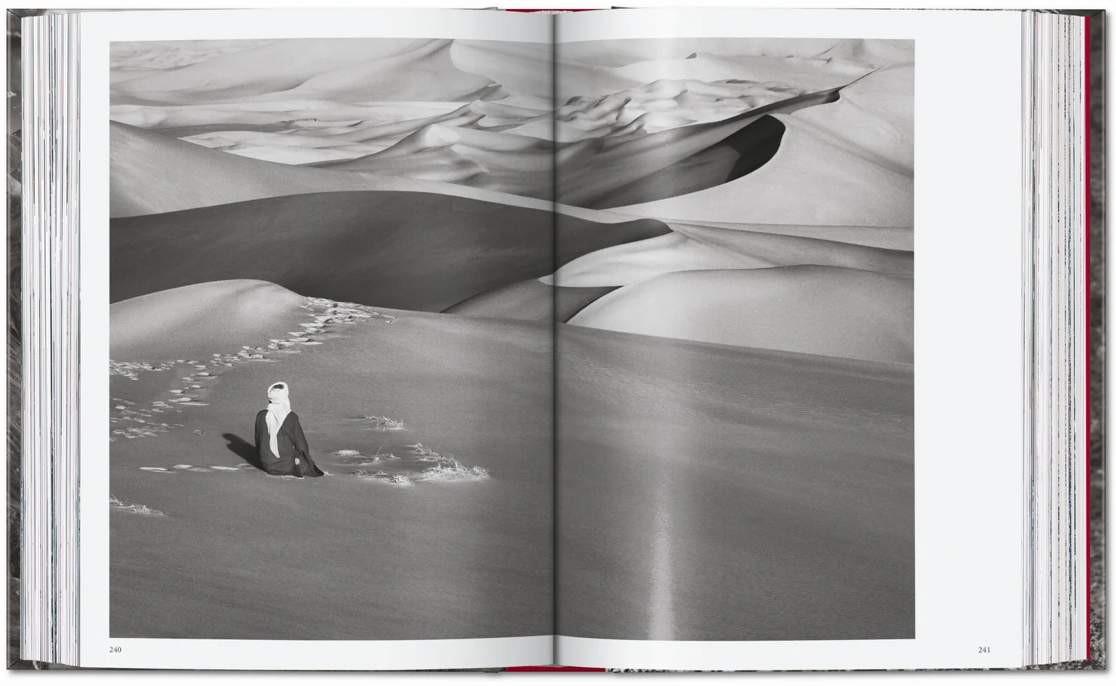 Sebastião Salgado