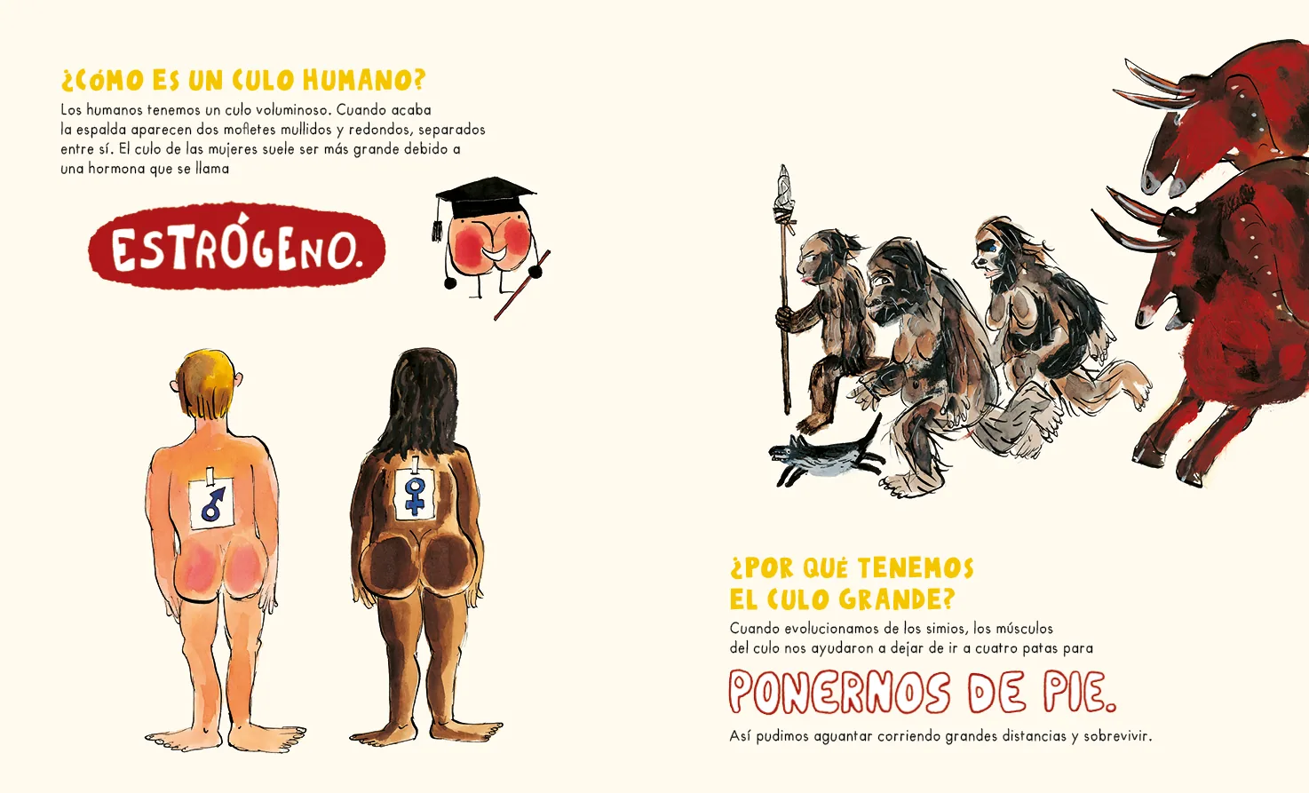 El libro de los culos