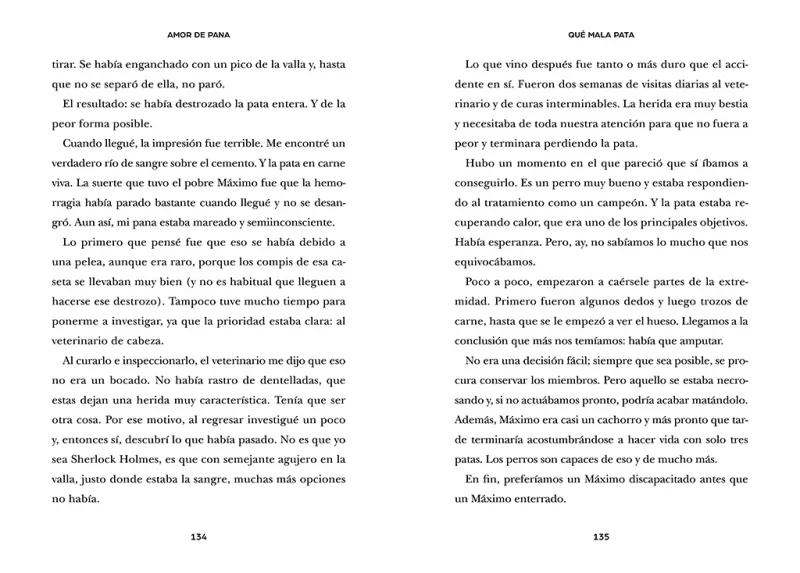 Amor de pana