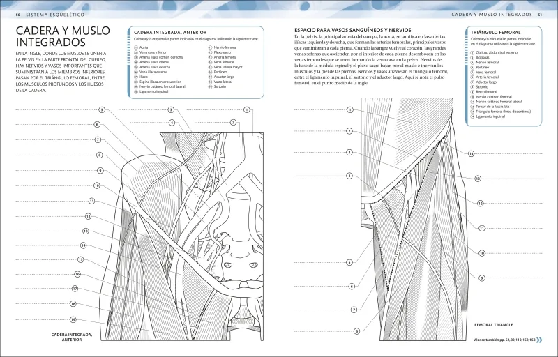 Atlas de anatomía para colorear