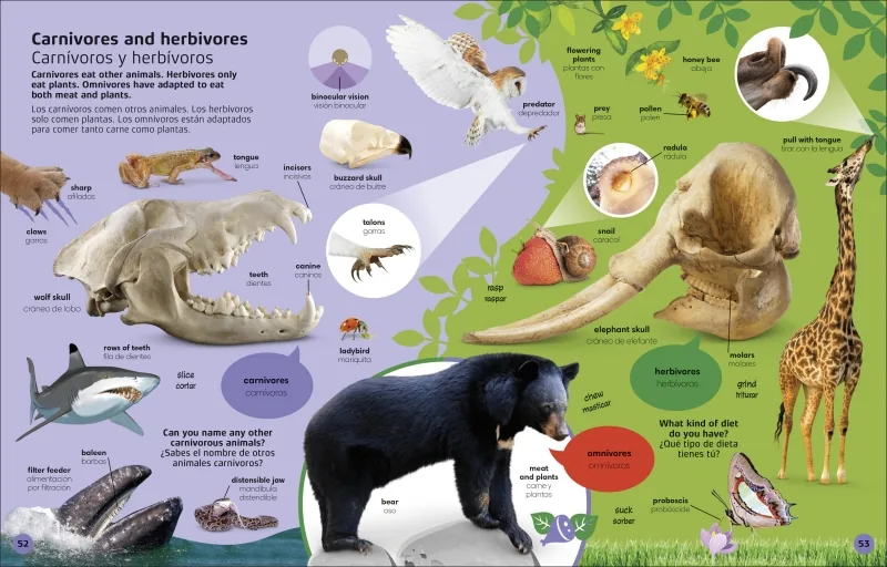 1000 palabras: Animales / 1000 Words: Animals