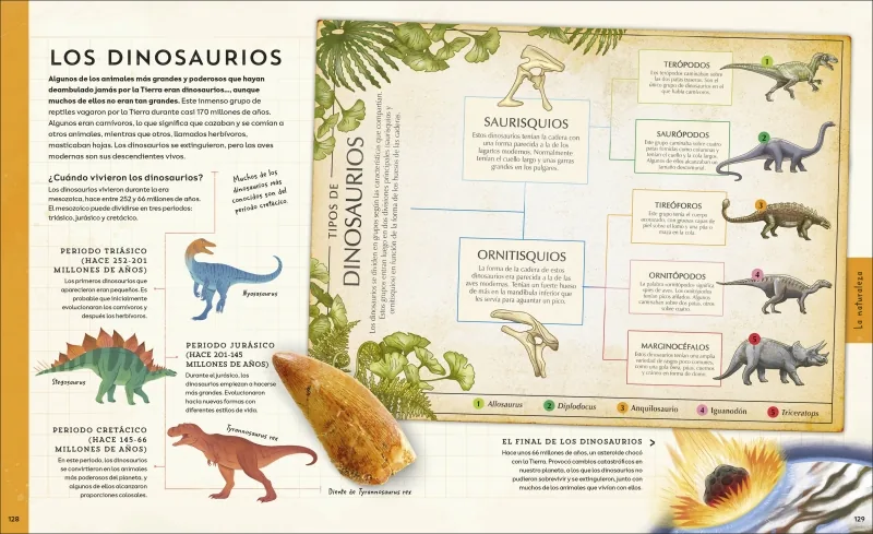¡Explora!