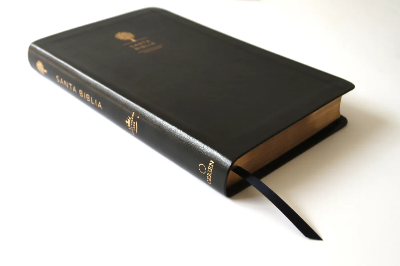 Biblia Reina Valera 1960 letra grande. Símil piel negro
