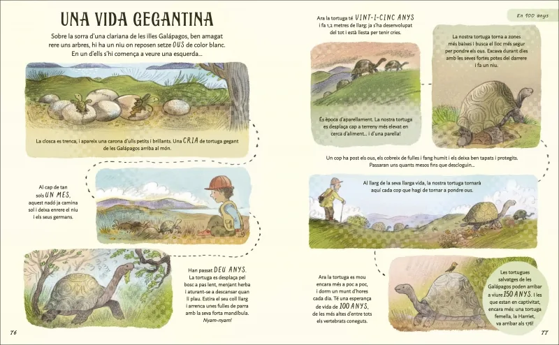 Paciència