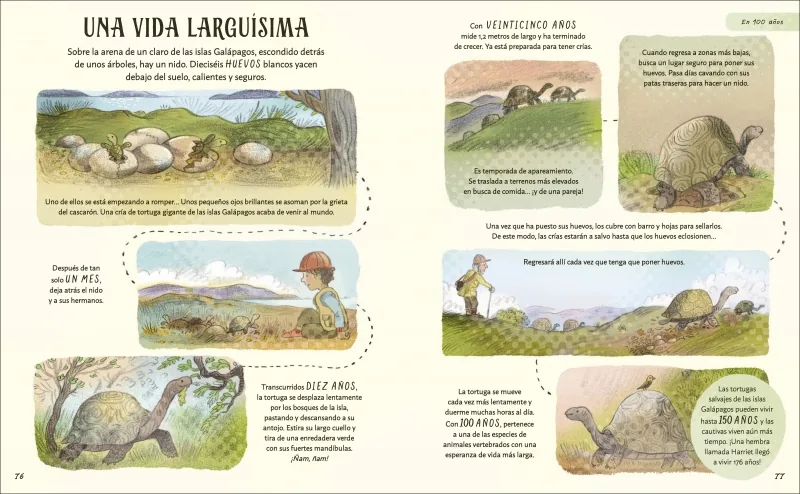Paciencia