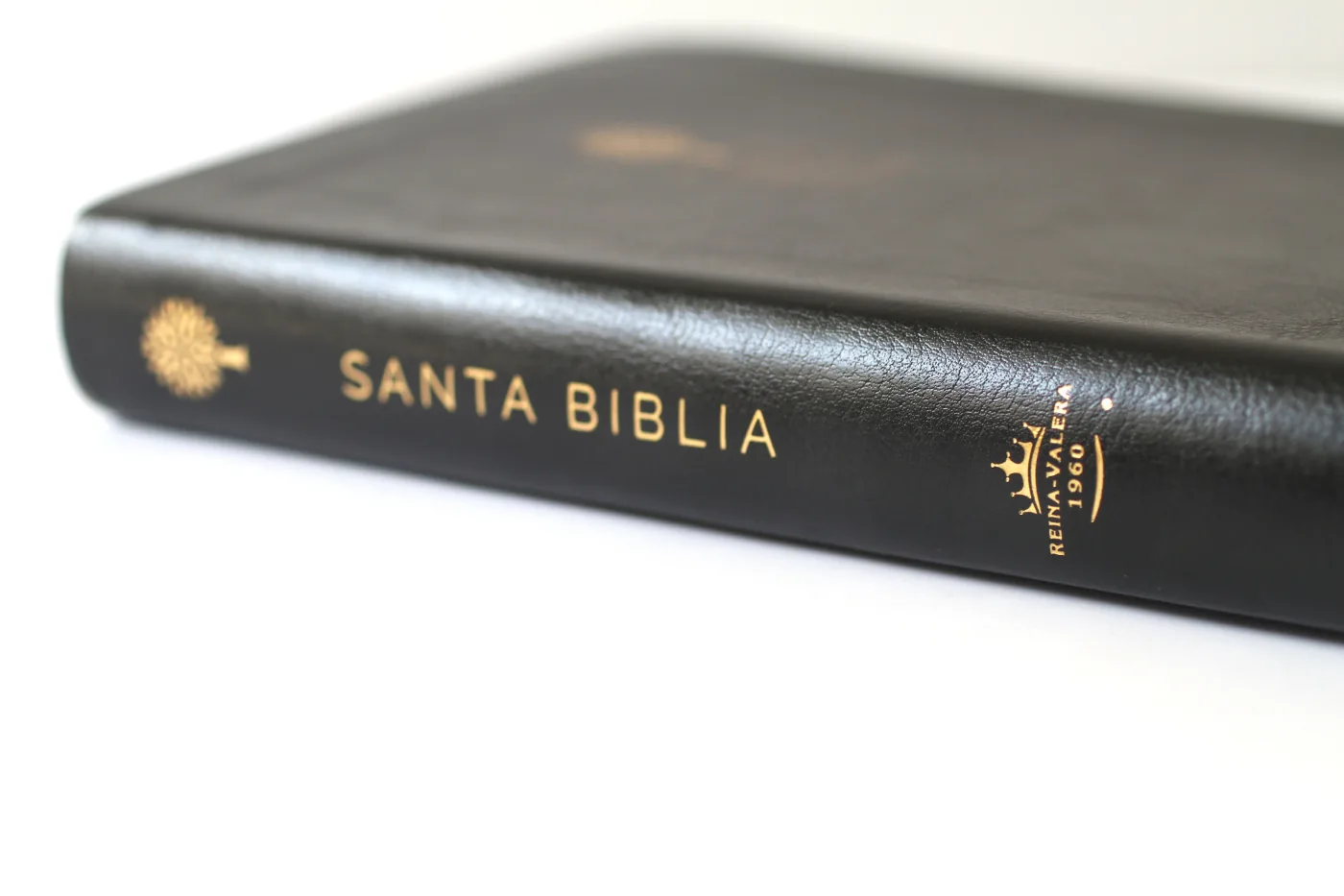 Biblia Reina Valera 1960 letra grande. Símil piel negro