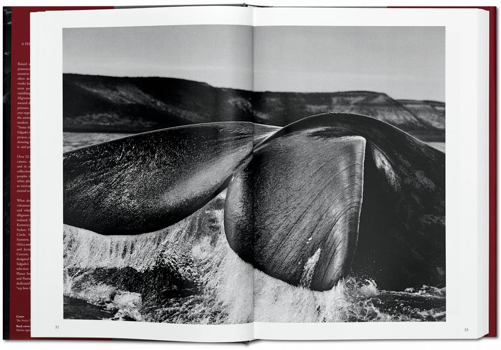 Sebastião Salgado