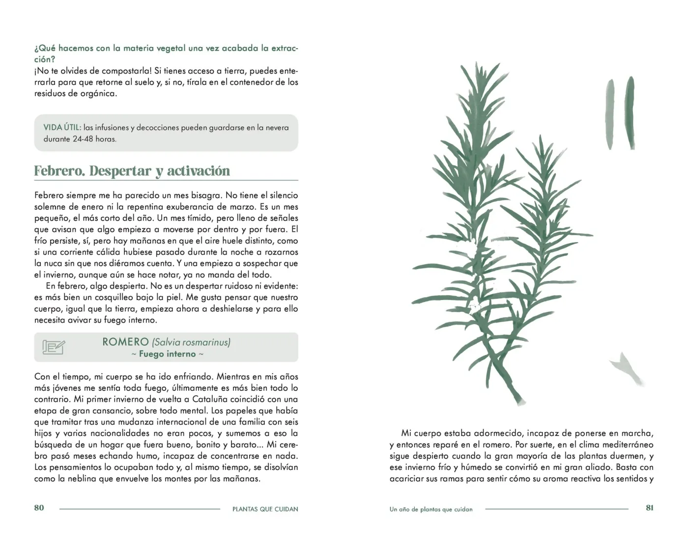 Plantas que cuidan
