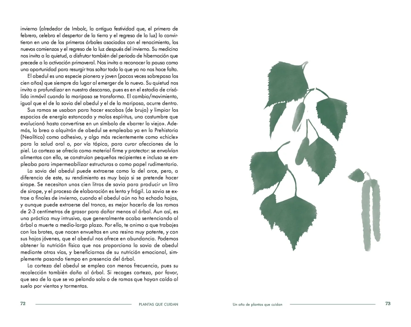 Plantas que cuidan