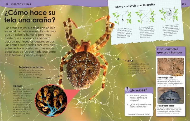 ¿Sabías qué? Animales