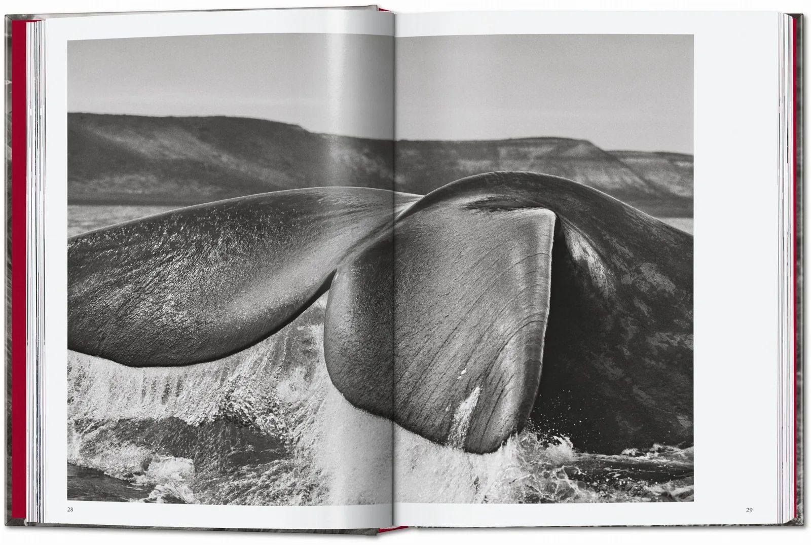 Sebastião Salgado