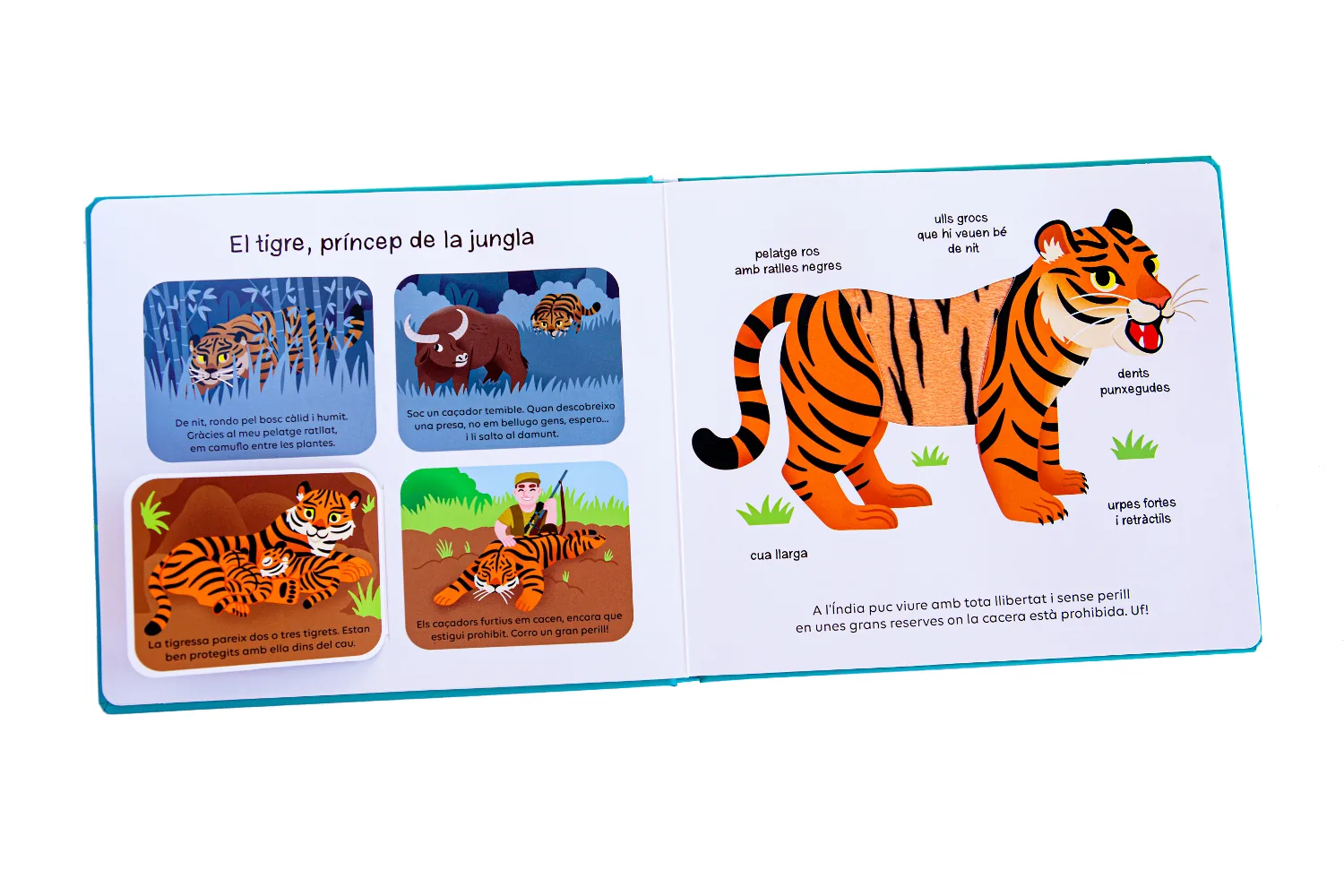 Animals que cal protegir