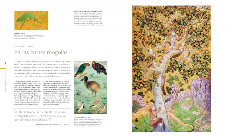 Fauna (nueva edición)