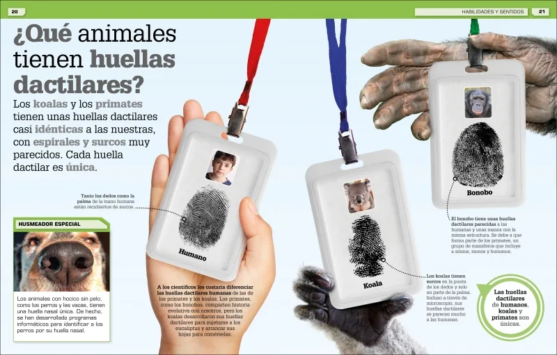 ¡Increíble pero cierto! Animales