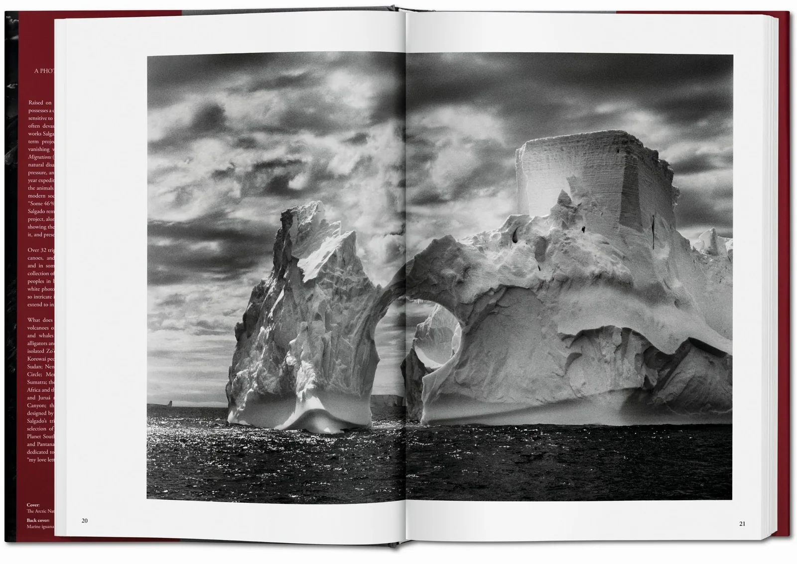 Sebastião Salgado