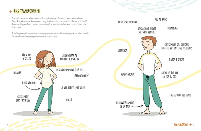 Superquadern d'educació sexual