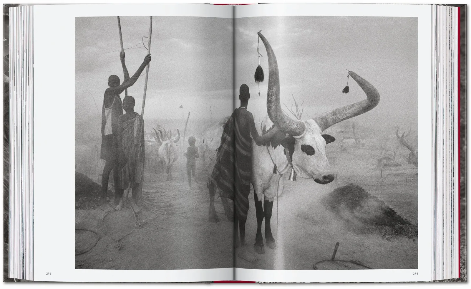 Sebastião Salgado