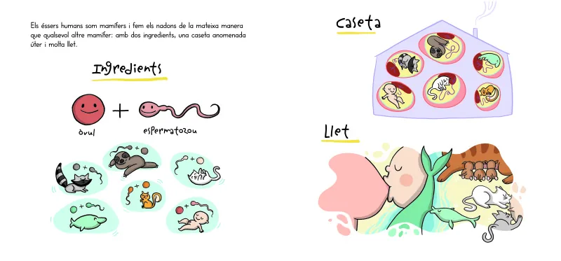 Així es fa un nadó! (mini Menstruita)