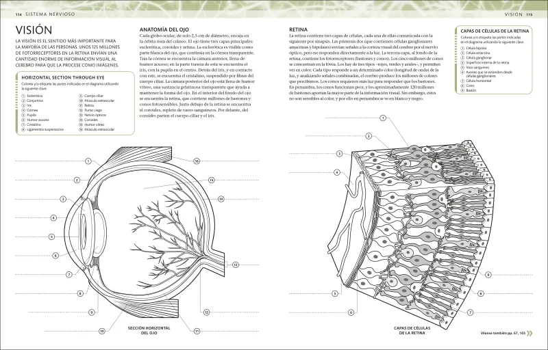 Atlas de anatomía para colorear