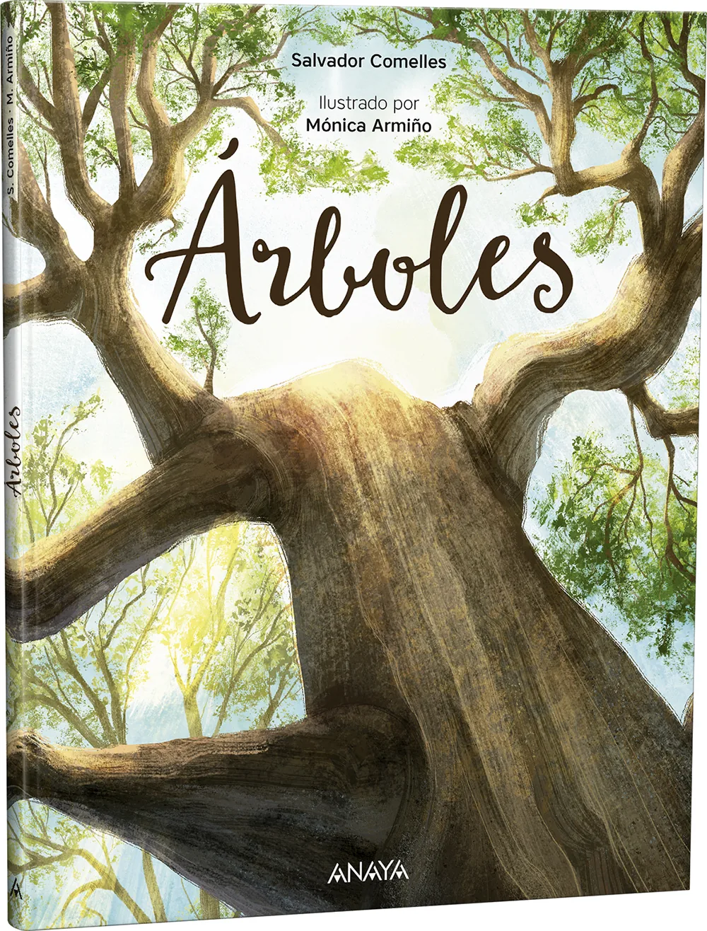 Árboles
