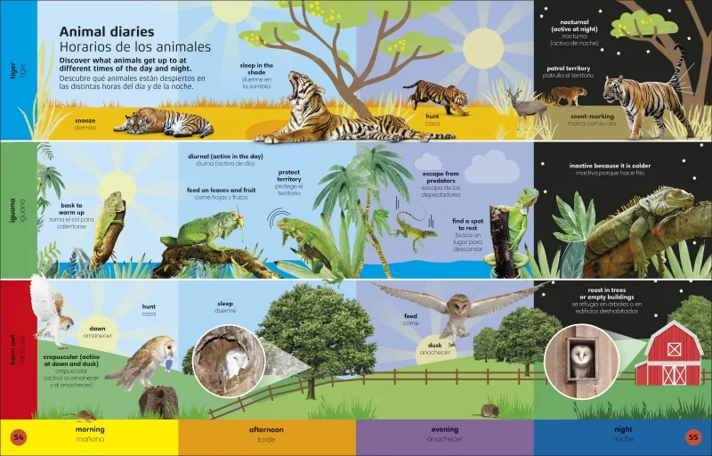 1000 palabras: Animales / 1000 Words: Animals