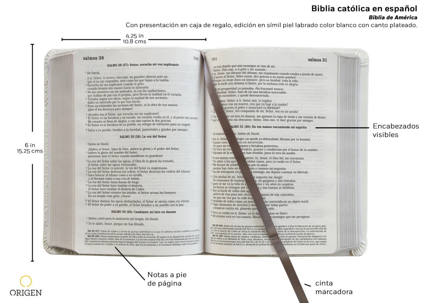 La Biblia Católica en español. Boda, bautizo, primera comunión