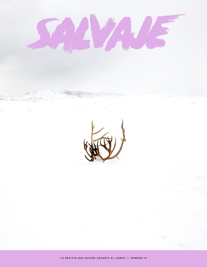 REVISTA SALVAJE 15