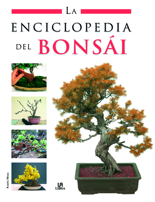 La enciclopedia del Bonsái