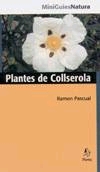 Plantes de Collserola.