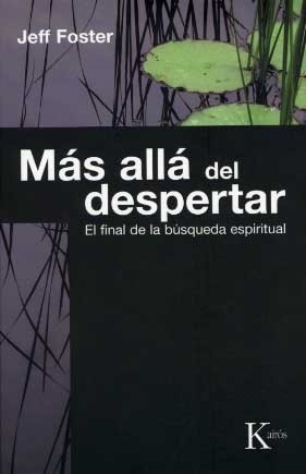 Más alla del despertar: el final de la búsqueda espiritual